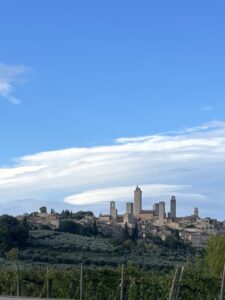 walled town of towers in the countryside